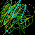 :iconsnakeyn: