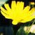 :iconsnap-shot-photo: