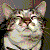 :iconsnapdragon89:
