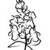 :iconsnapdragondesignsltd: