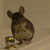 :iconsnapdragonfly-ink: