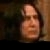 :iconsnapespetalways: