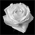 :iconsnapple91: