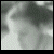:iconsnarble: