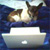 :iconsnarkyroxy:
