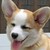 sneep29 :iconsneep29: