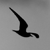 :iconsneg-black: