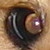 :iconsnickers-jumi: