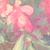 :iconsnidesniper:
