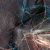 :iconSnipezzz: