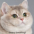 Snobirdy :iconsnobirdy: