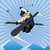:iconsnoop-doug: