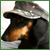 :iconsnoopa: