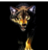:iconsnoppdoggy: