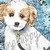 :iconsnopuppy250: