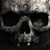 :iconsnosan: