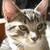 :iconsnotbag: