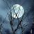 :iconsnow-dreamwalker: