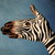 :iconsnow-lilly: