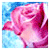 :iconsnow-rose: