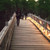 :iconsnow-spider: