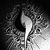 :iconSnow-Squall: