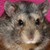 :iconsnow-whisper: