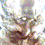 :iconsnow-white-tan: