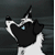 :iconsnowback-fanclub: