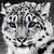 :iconsnowball242: