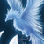 :iconsnowber: