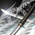 :iconsnowbird268: