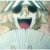 :iconsnowbunny3: