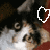 :iconsnowclaw15: