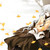 :iconsnowflake316: