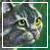 :iconsnowfoot: