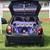 :iconSnowFox-BR: