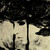 :iconsnowhirl: