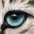:iconsnowleo-art: