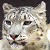 :iconsnowleopard20xx: