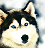 :iconsnowmenliketowrite: