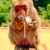 :iconsnowmonkeydesign: