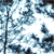 :iconsnowmonster: