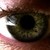 :iconsnowowl24: