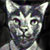 Snowroll :iconsnowroll: