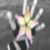 :iconsnowsnap: