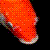 :iconsnowstar59: