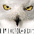 :iconsnowtoad: