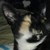 :iconsnowwe:
