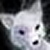 :iconsnowwolfie: